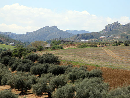 Busfahrt - Anatolische Landschaft